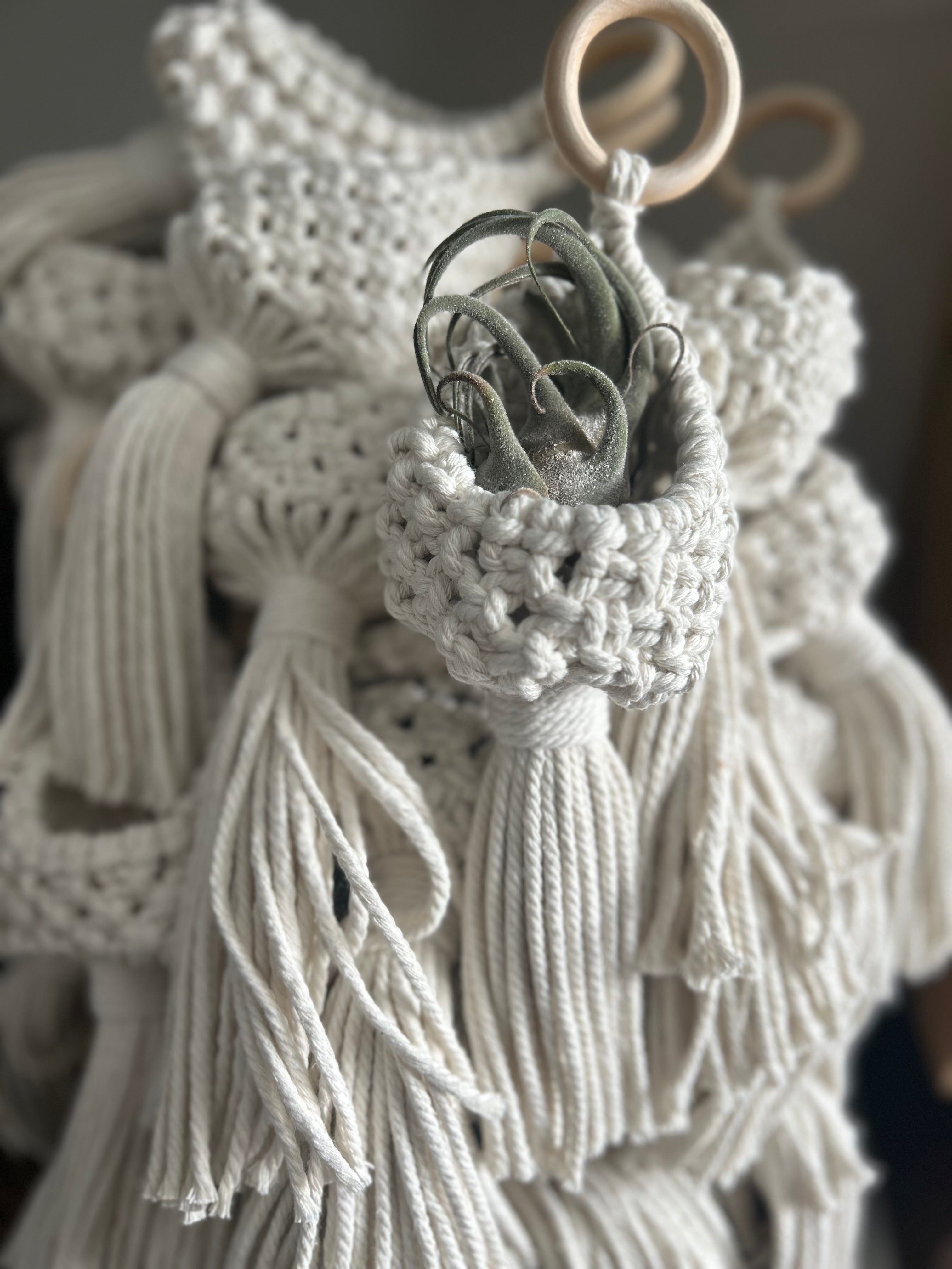 Pod Plant Hangers