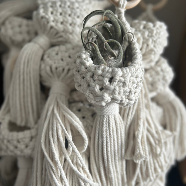Pod Plant Hangers