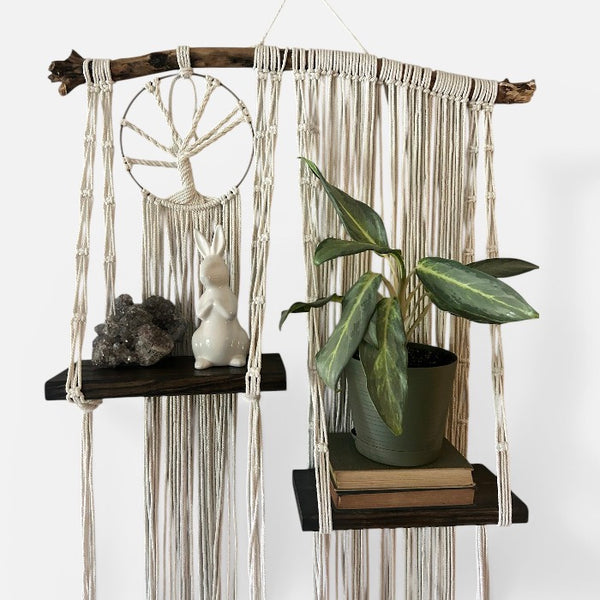 Tree of Life Bookshelf