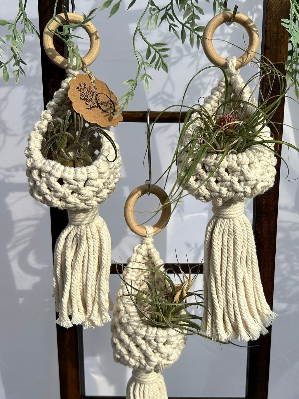 Pod Plant Hangers