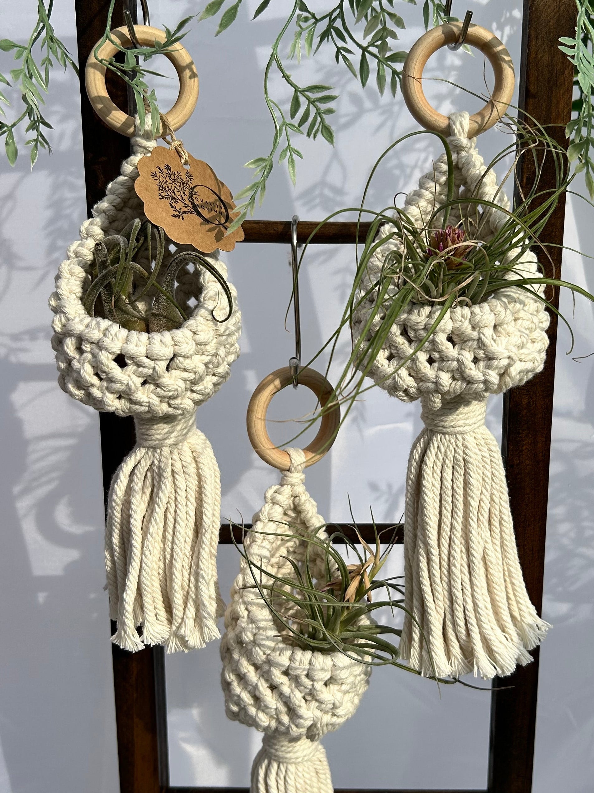 Pod Plant Hangers