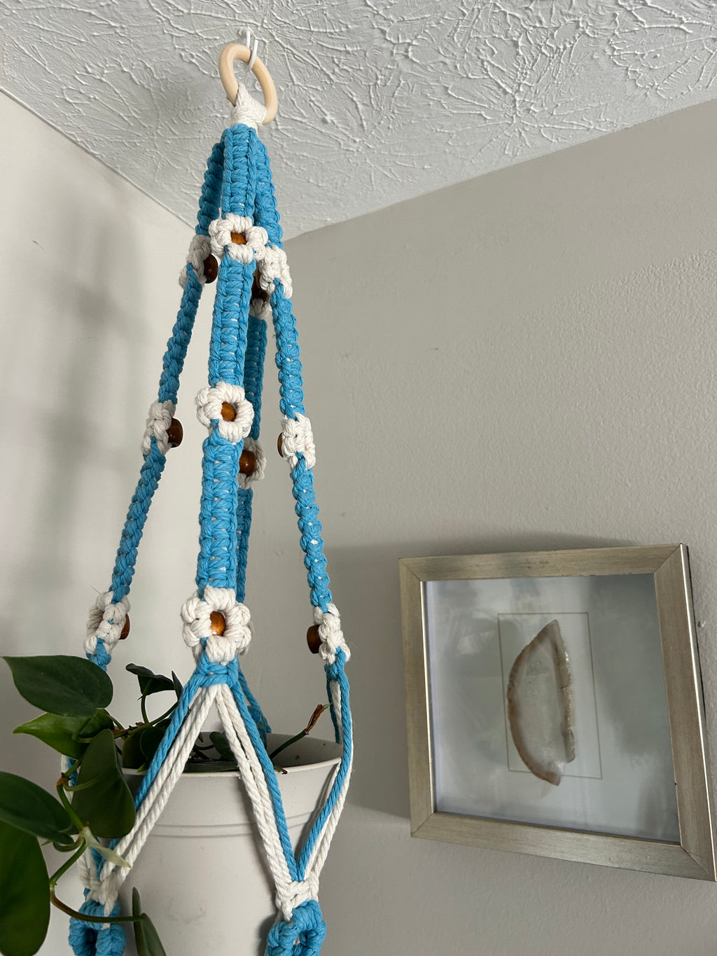 Daisy Plant Hanger